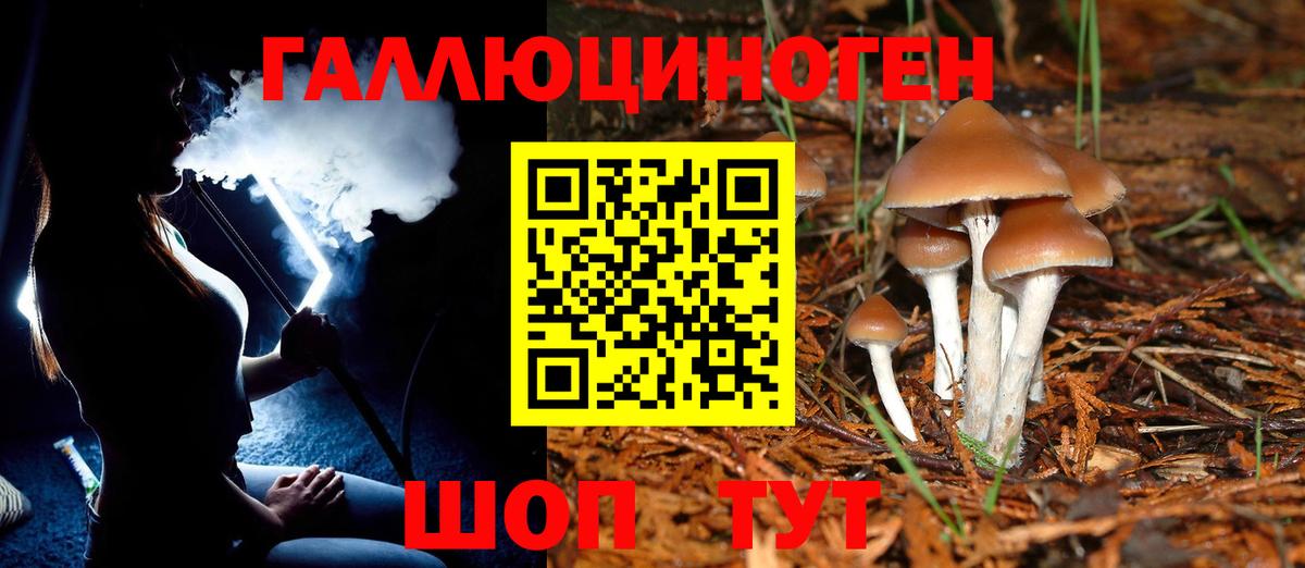 Галлюциногенные грибы Magic Shrooms  Вход с VPN  Кисловодск  Псилоцибиновые грибы мицелий 